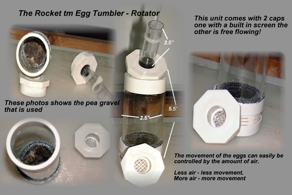Rocket Egg Tumbler